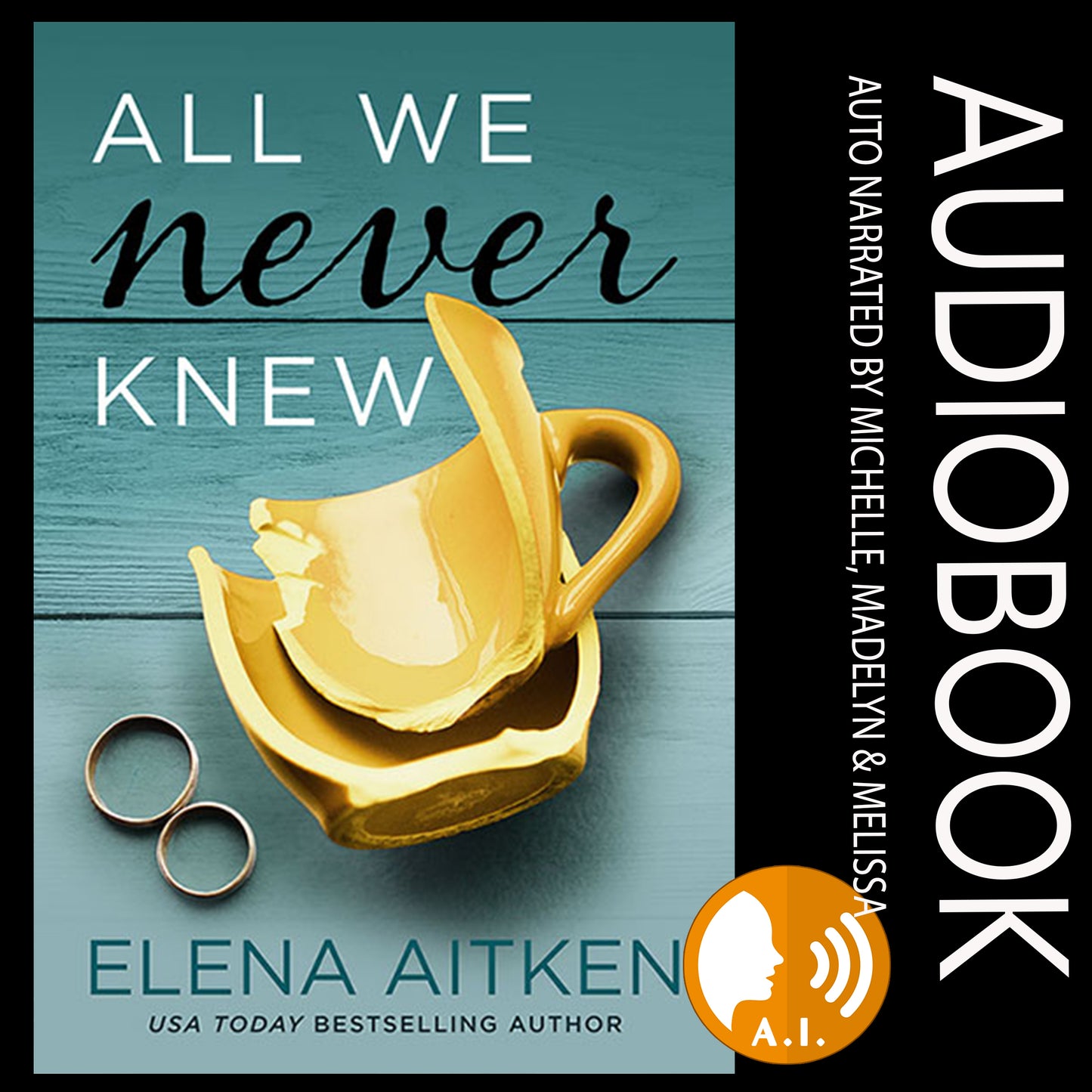 All We Never Knew Audiobook